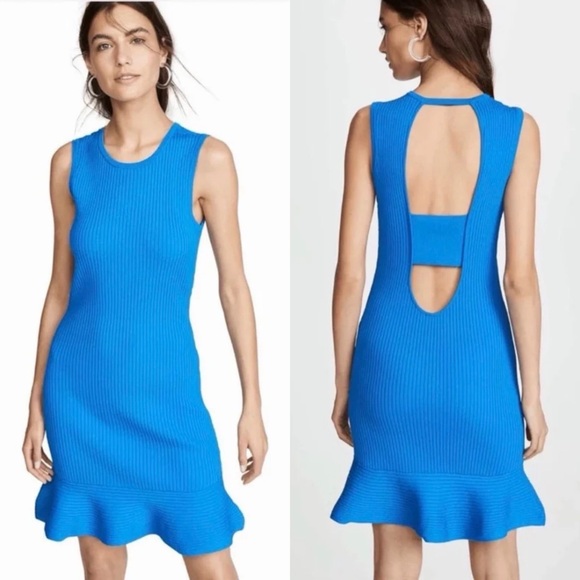 PARKER Lynn Ruffle Skirt Knit Dress Women's Size XS Blue - Picture 16 of 16